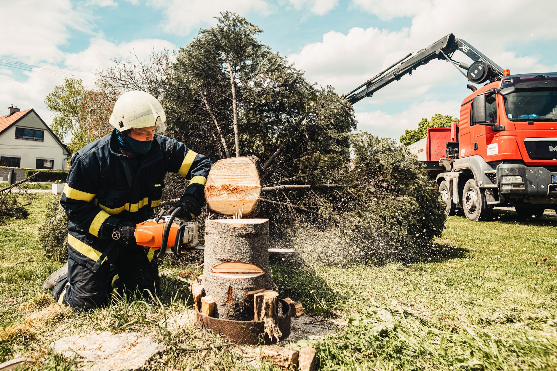 Deadwood Pruning – Windcrest